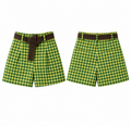 Gingham Green Short
